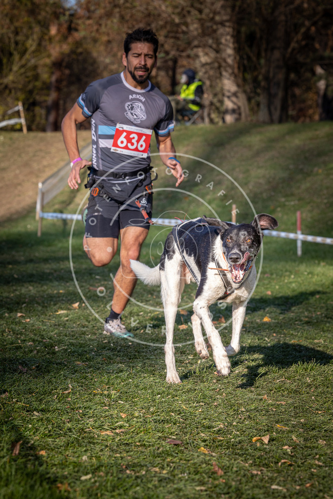 CaniXpix_0L8A8994 | Hundefotografie, Tierfotograf, Pfotenfotografie, Fotoshooting Hund, Hunde Portrait, Hundesport, Hundeportraits, Heideshooting, Hunde, Sportfotograf, Hundefotograf, Turnierhundsport, THS,  - Realisiert mit Pictrs.com