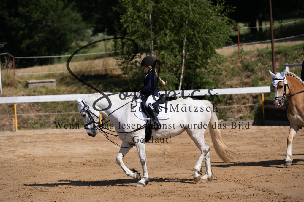 A7V07730 | Pferdefotograf