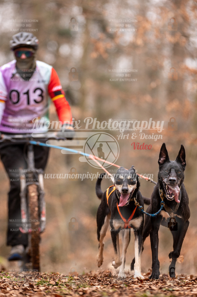 AKM_ST_2023_SAM_DS2-19 | PayLife