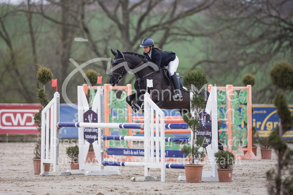 230408_Frühlingsfest_Stil-L-1-858 | Deine schönsten Turniermomente als professionelle Fotos! Entdecke hochwertige Pferdesport-Fotografie im Online-Shop. Jetzt Fotos finden & bestellen!