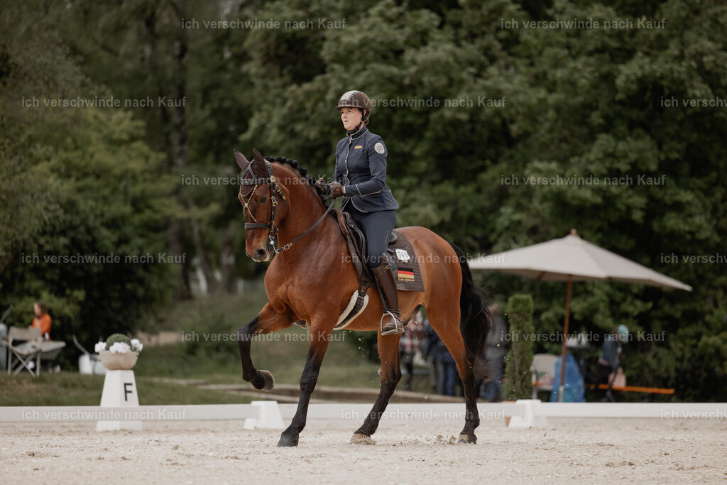 WE_DR_Stoib_340_ _PI2025_105 | Pferd International München 2025