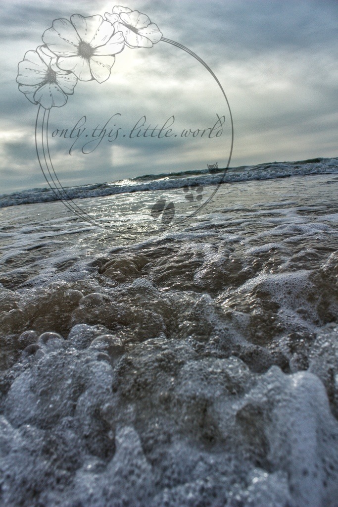 IMG_8845-01 | only.this.little.world - Realisiert mit Pictrs.com