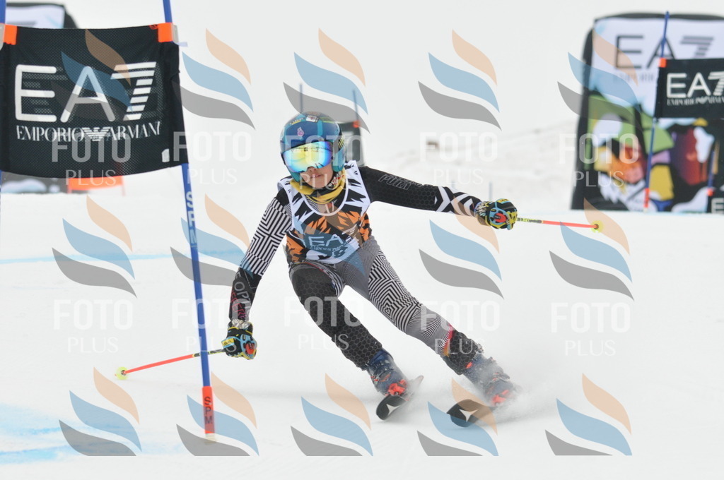 DSC_7969 | holidayphoto