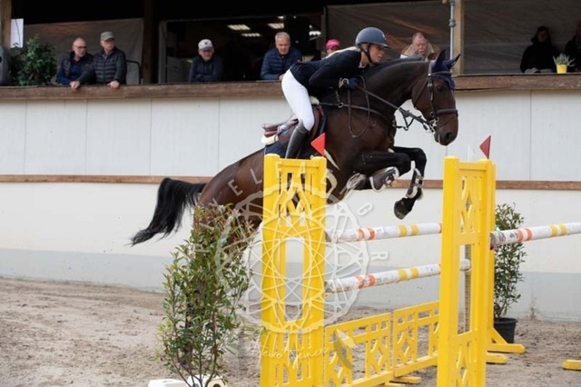 2B4A1111 | pixelfaenger - Realisiert mit Pictrs.com