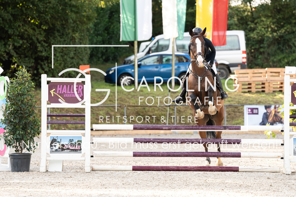 DSC01753 | Carolin Gieschke