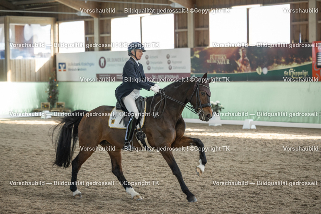 _D5A0500 | Emotionale Pferde- & People-Fotografie rund um Heidelberg, Leimen & Umgebung. Natürliche Fotos von Pferd, Mensch & Familie. Jetzt Termin sichern!