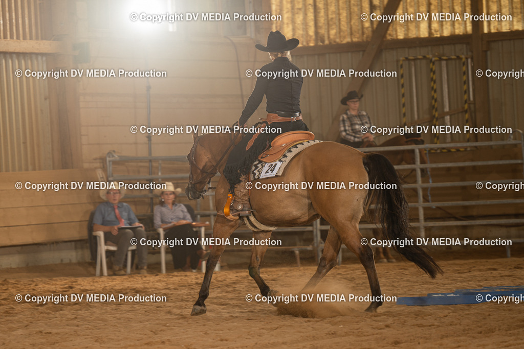 NID03675 | dv-media-shop - Realisiert mit Pictrs.com