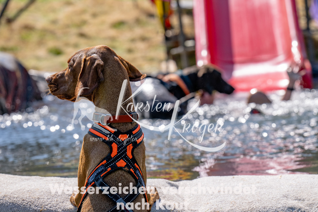 1226_ZZ91806 | kk-dogfotos