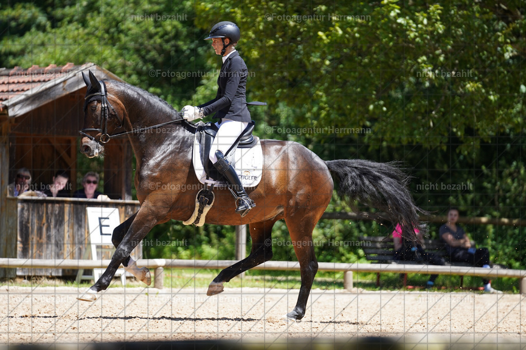 20240705-FAH03768 | Turnierbilder von Grafing, Reitsportbilder, Turnierfotos, Turnierfotografen Bayern, Pferdefotograf, Fotoagentur Herrmann
