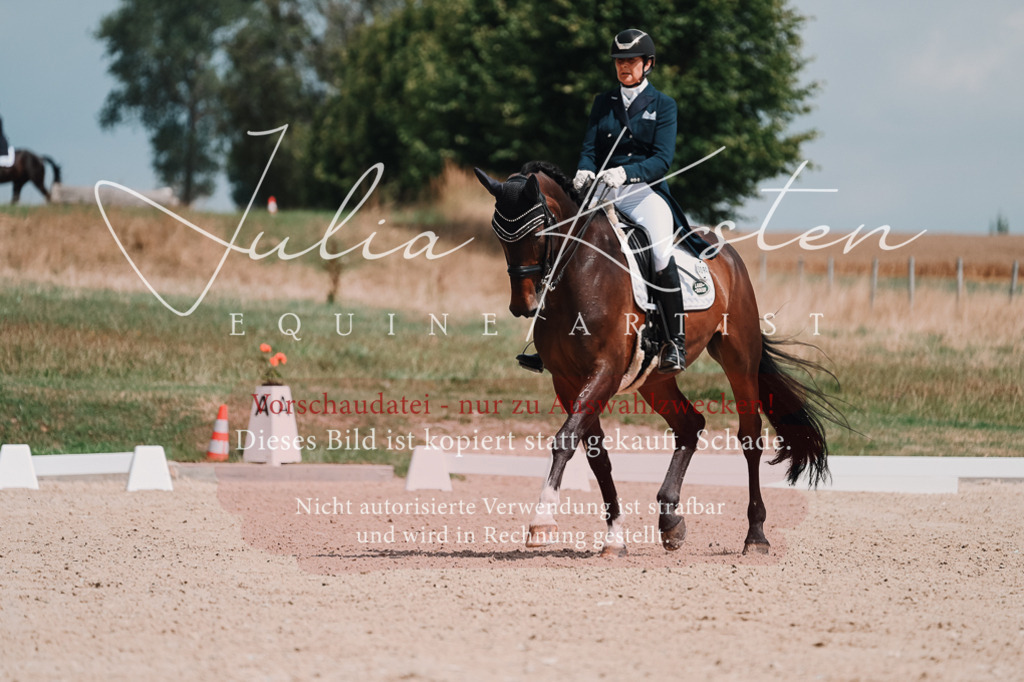 DSC_3851 | Pferde- und Turnierfotografie in Westsachsen. Pferdeportraits, Auftragszeichnungen und intuitive Kunst.