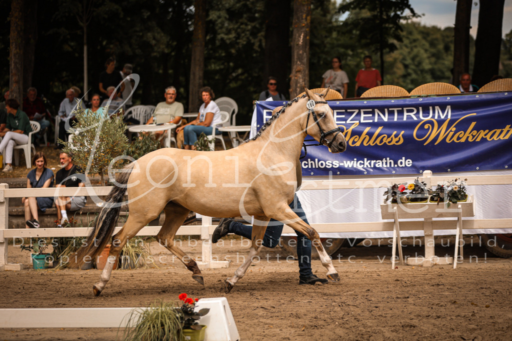10.So00082 | Leoni Ertmer Photography - Realisiert mit Pictrs.com