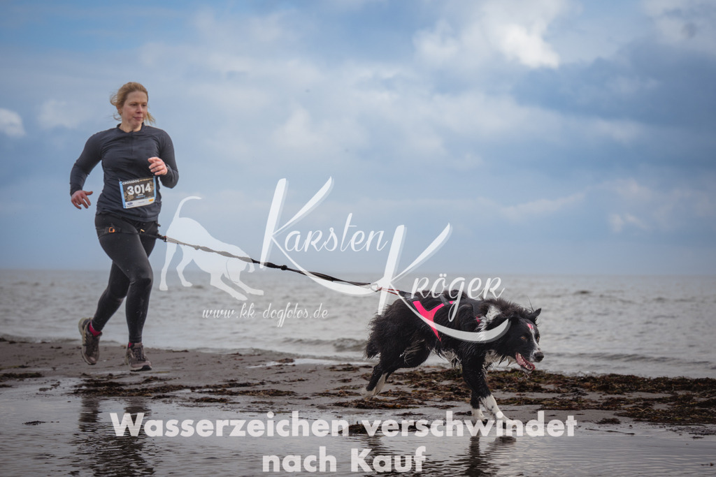 1212_ZZ94934 | kk-dogfotos