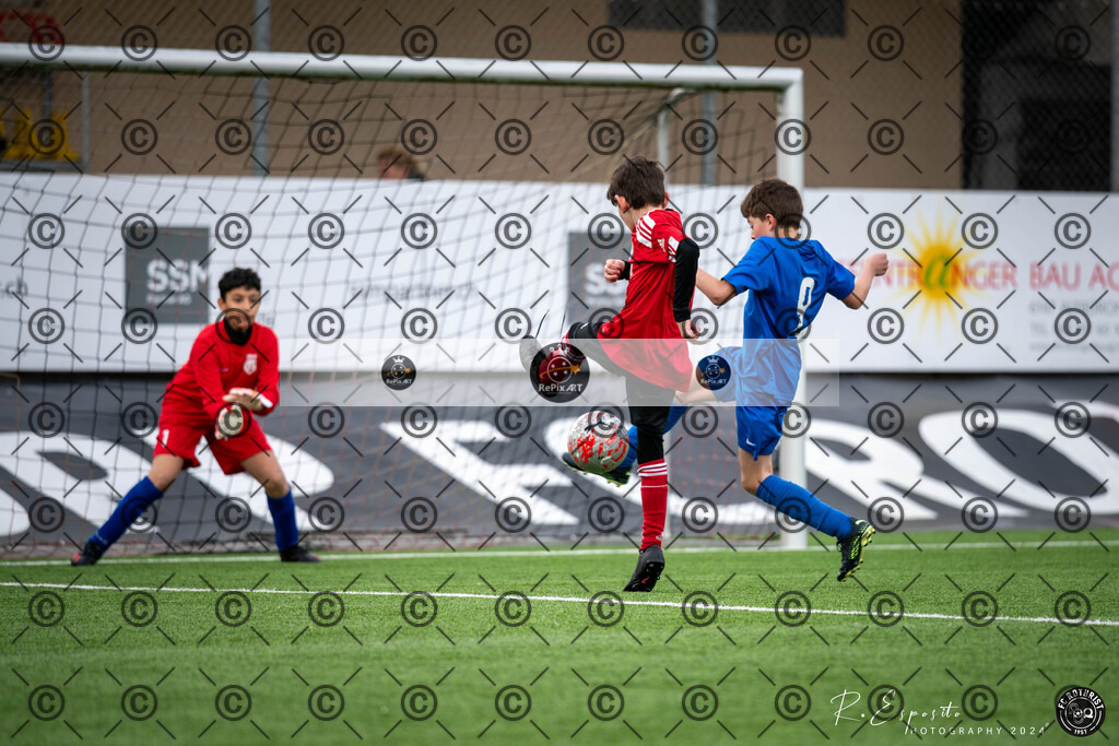 20240316_KS-Turnier E-Jun.0830_1053_093 | Sport und Naturfotografie von Roberto Esposito zeigt echte Momente Bewegung und die Schönheit der Natur. Ausdrucksstarke Bilder schaffen Emotionen.