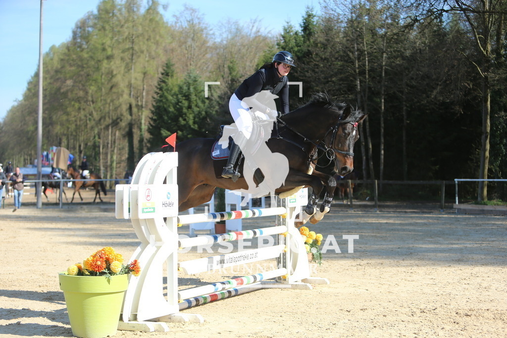 DL2Q1091 | Willkommen bei Brunnmayr - Design & Fotografie – Ihrem Spezialisten für Reitturniere und Pferdeveranstaltungen in Oberösterreich, Salzburg und Bayern! Seit über 17 Jahren sind wir leidenschaftlich dabei.