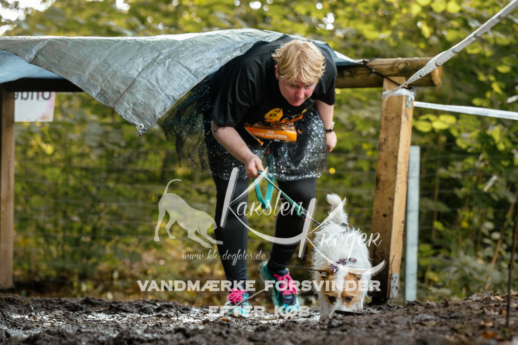 1401DZ6_0896Z6 | kk-dogfotos