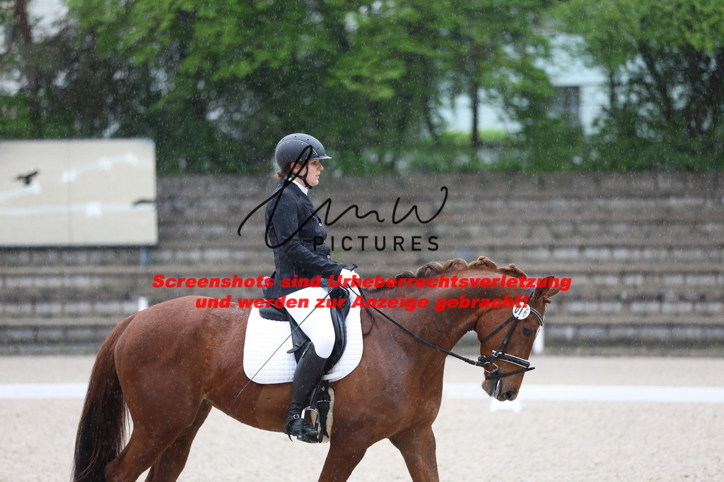 A40A7248 | lmwpictures - Realisiert mit Pictrs.com