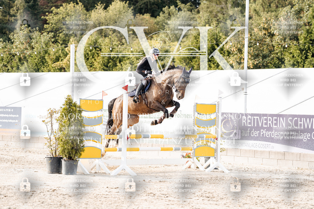 CK907070 | Turnierfotografie Pferdefotografie Trier Rheinland-Pfalz Pferdesport Reitsport Tierfotografie Sportfotografie Pferdevideo Pferdevideografie Equestrianvideography equestrianphotography  - Realisiert mit Pictrs.com