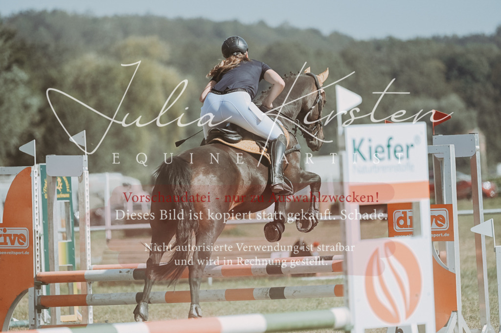 DSC_9647 | Pferde- und Turnierfotografie in Westsachsen. Pferdeportraits, Auftragszeichnungen und intuitive Kunst.