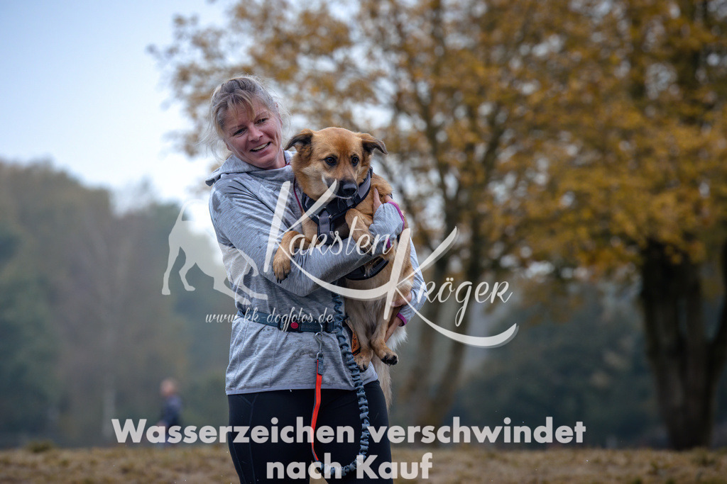0955_ZZ96908 | kk-dogfotos
