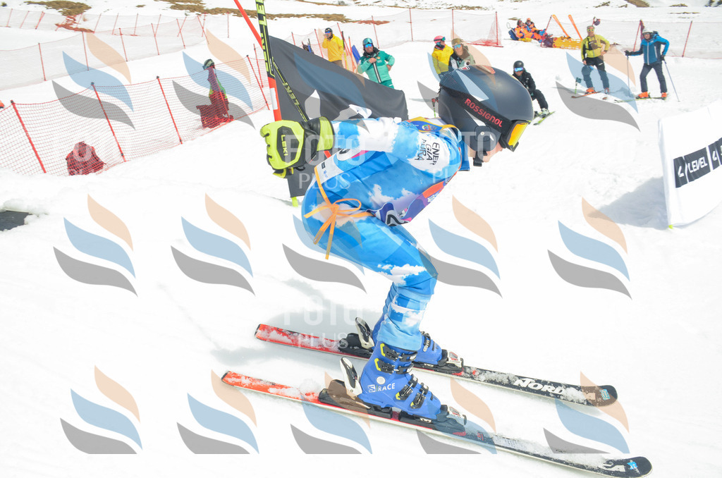 _ELE8009 | holidayphoto