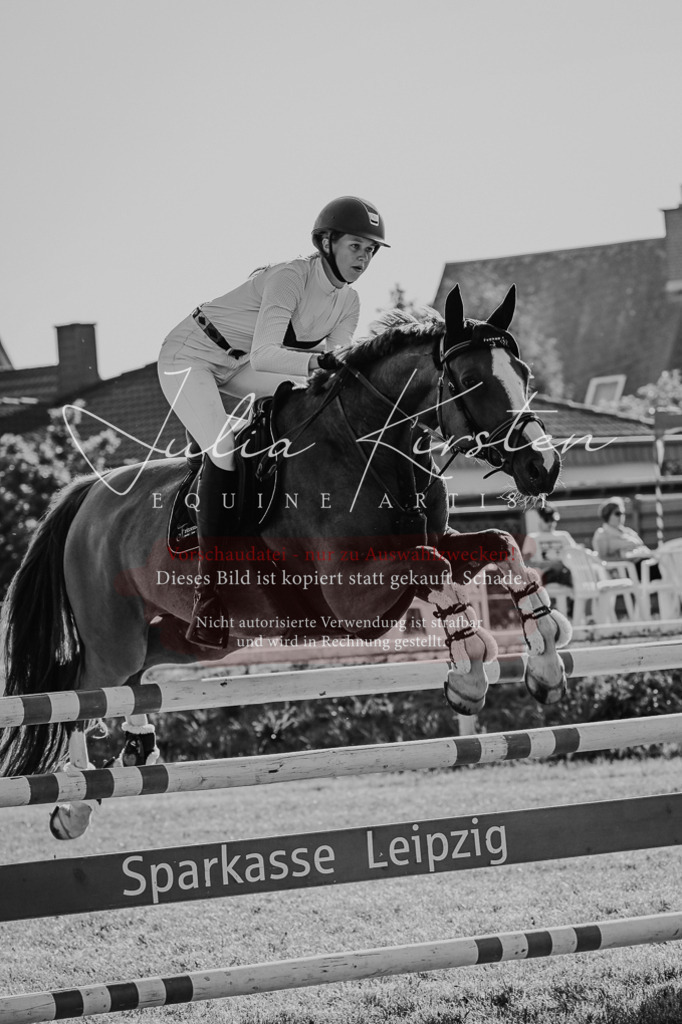 DSC_2779 | Pferde- und Turnierfotografie in Westsachsen. Pferdeportraits, Auftragszeichnungen und intuitive Kunst.