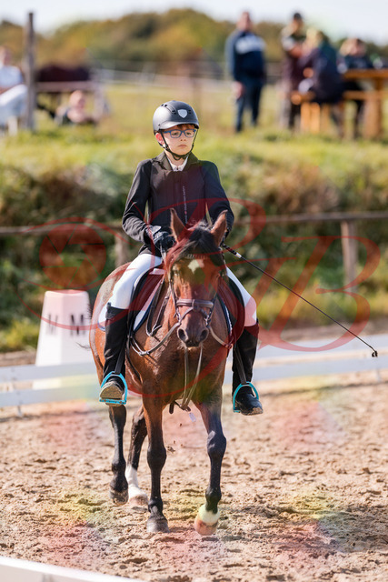 2026_10_03_Siefer-Hof_122317_Z81_23534494 | Professionelle Reitsport-, Turnier- und Eventfotografie von Robert Broda. Galerien mit ausgewählten und bearbeiteten Bildern direkt online ansehen und bestellen.