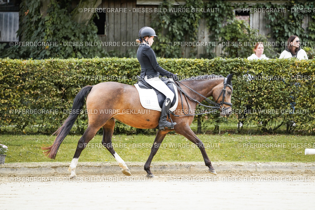 DSC04519 | Pferdegrafie