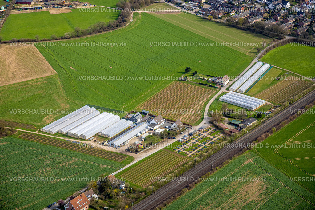 Duisburg230302423 | Luftbild, Rosen Ruland Gewächshäuser, Wiesen und Felder für mögliche neue Bauprojekte, Angermund, Düsseldorf, Ruhrgebiet, Nordrhein-Westfalen, Deutschland
