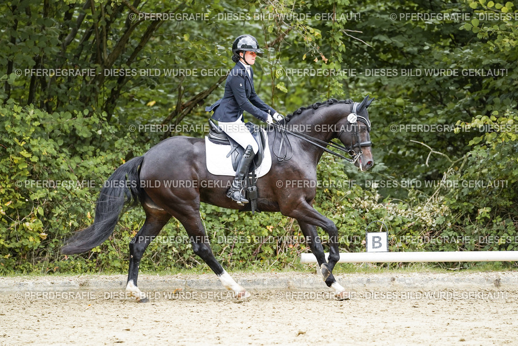 DSC07102 | Pferdegrafie