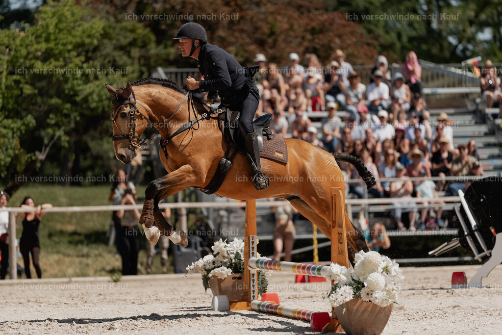 WE_SP_Stoib_311_PI2025_1680 | Pferd International München 2025