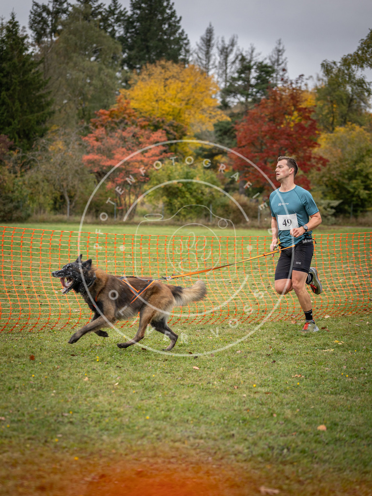 Pfotenfotografie_DV3A2475 | Hundefotografie, Tierfotograf, Pfotenfotografie, Fotoshooting Hund, Hunde Portrait, Hundesport, Hundeportraits, Heideshooting, Hunde, Sportfotograf, Hundefotograf, Turnierhundsport, THS,  - Realisiert mit Pictrs.com