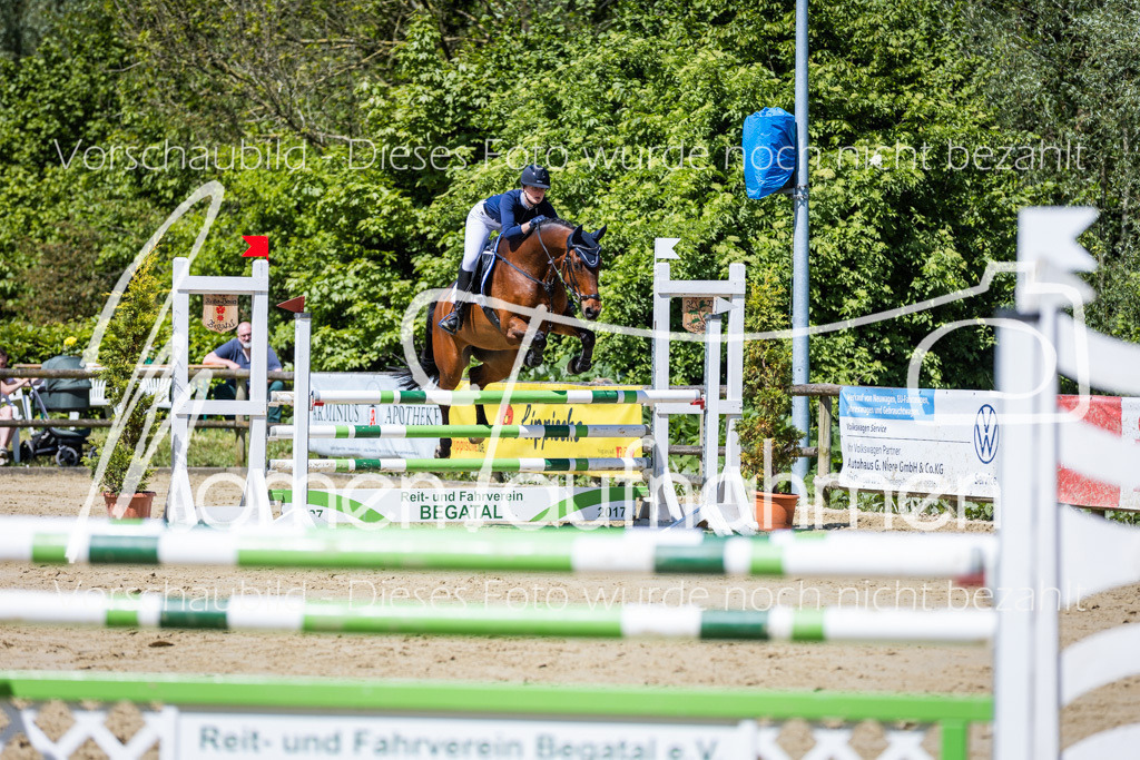 Donop24-Stil-L-063 | MomenTaufnahmen Pferdesportfotos