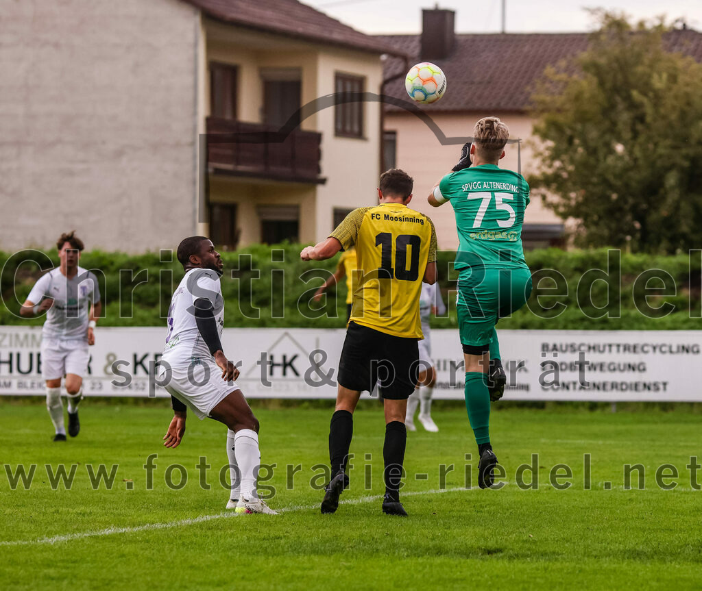 2023-08-09_018_FC_Moosinning_II_gegen_SpVgg_Altenerding | Moosinning, Deutschland, 09.08.2023:
Fußball, Kreisliga 2023 / 2024, 3. Spieltag, FC Moosinning II gegen SpVgg Altenerding, Endergebnis: 1:1

Ridwan Bello (SpVgg Altenerding, #5), Benedikt Thumbs (FC Moosinning, #10), Torwart Lukas Loher (SpVgg Altenerding, #75)

Foto: Christian Riedel / fotografie-riedel.net