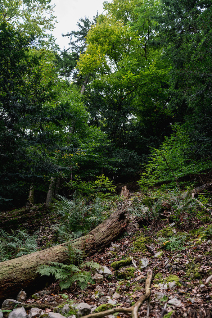 ZD250916095231 | Fotoshop von zweidimensional Fotografie. Ihr Fotograf im Aargau. Abzüge von Ihrem Fotobox Event bestellen.Abzüge von Ihrem Hochzeit bestellen.Abzüge von Ihrem Schulfotograf bestellen.