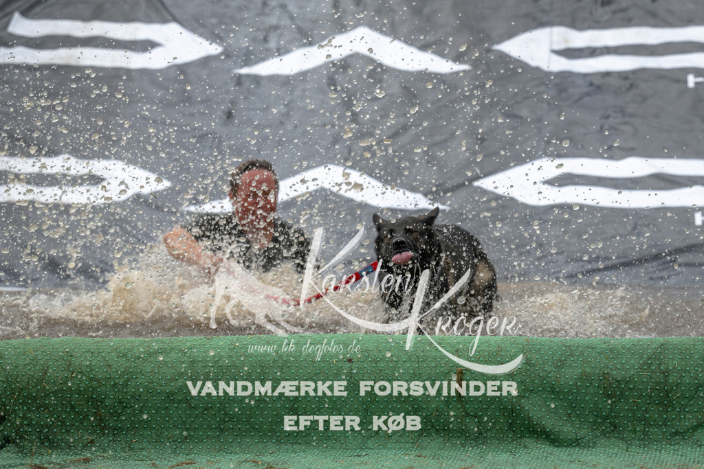 1605_ZZ92263 | kk-dogfotos