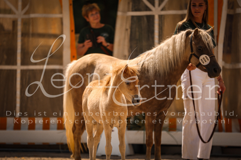 02.DoSR00026 | Leoni Ertmer Photography - Realisiert mit Pictrs.com