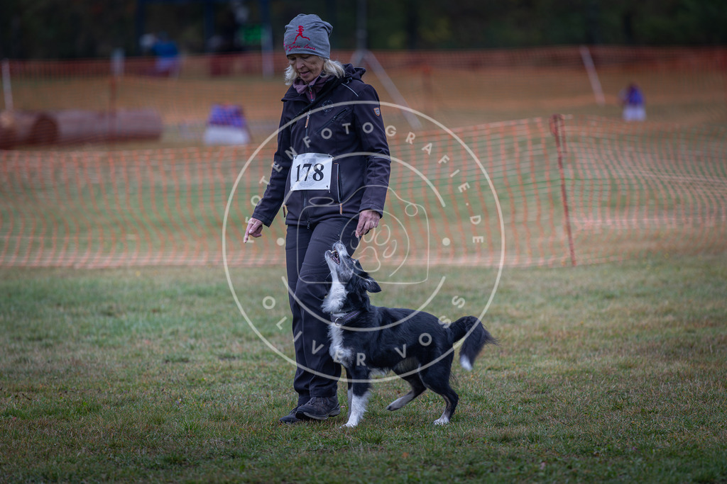Pfotenfotografie_DV3A9478 | Hundefotografie, Tierfotograf, Pfotenfotografie, Fotoshooting Hund, Hunde Portrait, Hundesport, Hundeportraits, Heideshooting, Hunde, Sportfotograf, Hundefotograf, Turnierhundsport, THS,  - Realisiert mit Pictrs.com