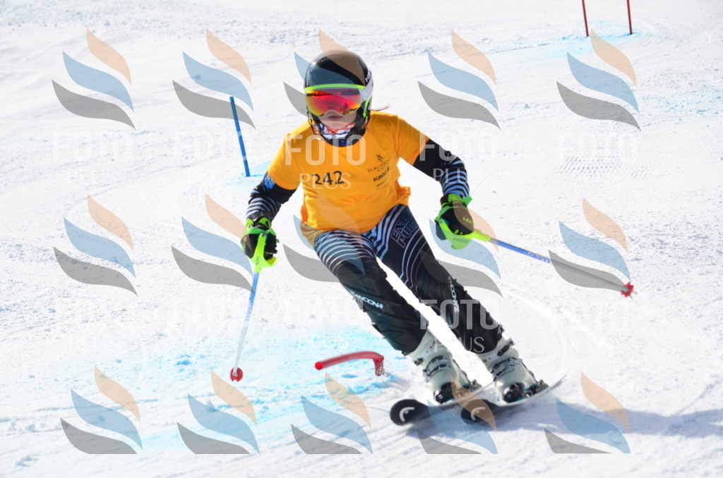 C8399 | holidayphoto