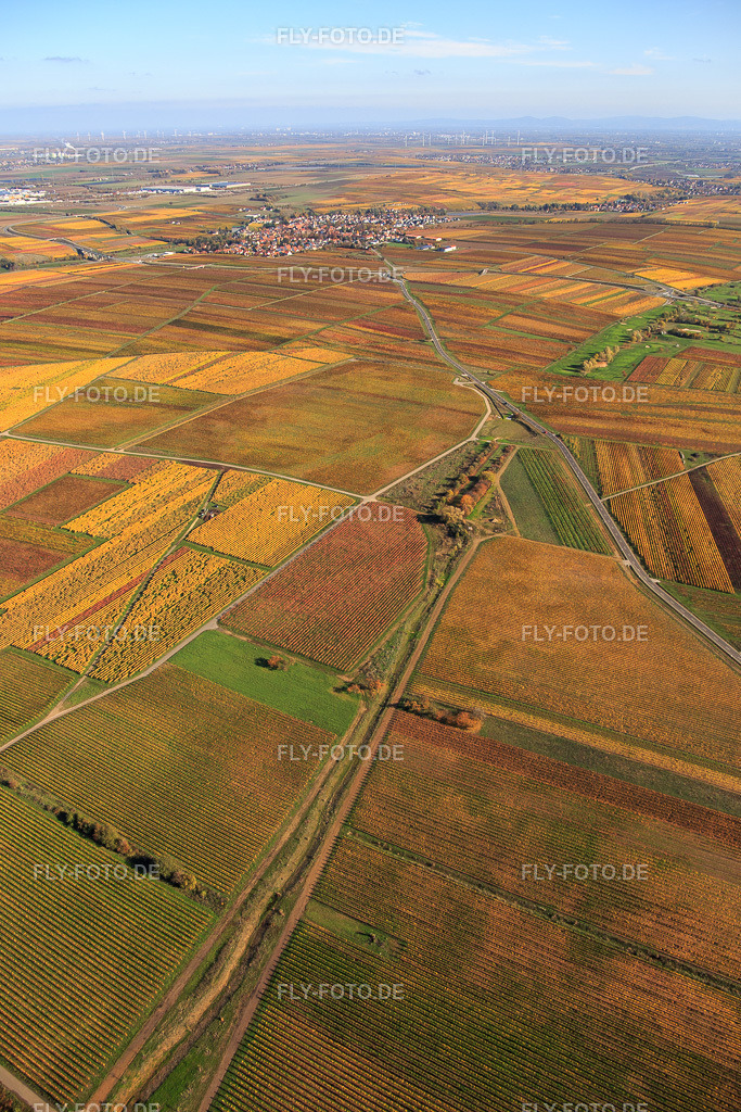 Herbstlich gefärbte Weinberge am Haardtrand | Luftbild: Herbstlich gefärbte Weinberge am Haardtrand im Ortsteil Jerusalemsberg in Kirchheim im Bundesland Rheinland-Pfalz in Deutschland. Foto: IMG_123659.jpg vom 31.10.2020 durch Werner Riehm/FLY-FOTO.de - Realisiert mit Pictrs.com