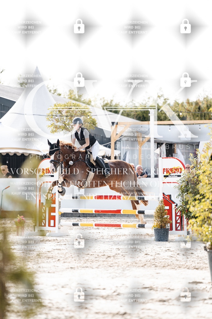 CK906026 | Turnierfotografie Pferdefotografie Trier Rheinland-Pfalz Pferdesport Reitsport Tierfotografie Sportfotografie Pferdevideo Pferdevideografie Equestrianvideography equestrianphotography  - Realisiert mit Pictrs.com