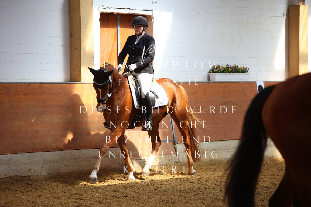 IMGT4675 | pl-fotografie