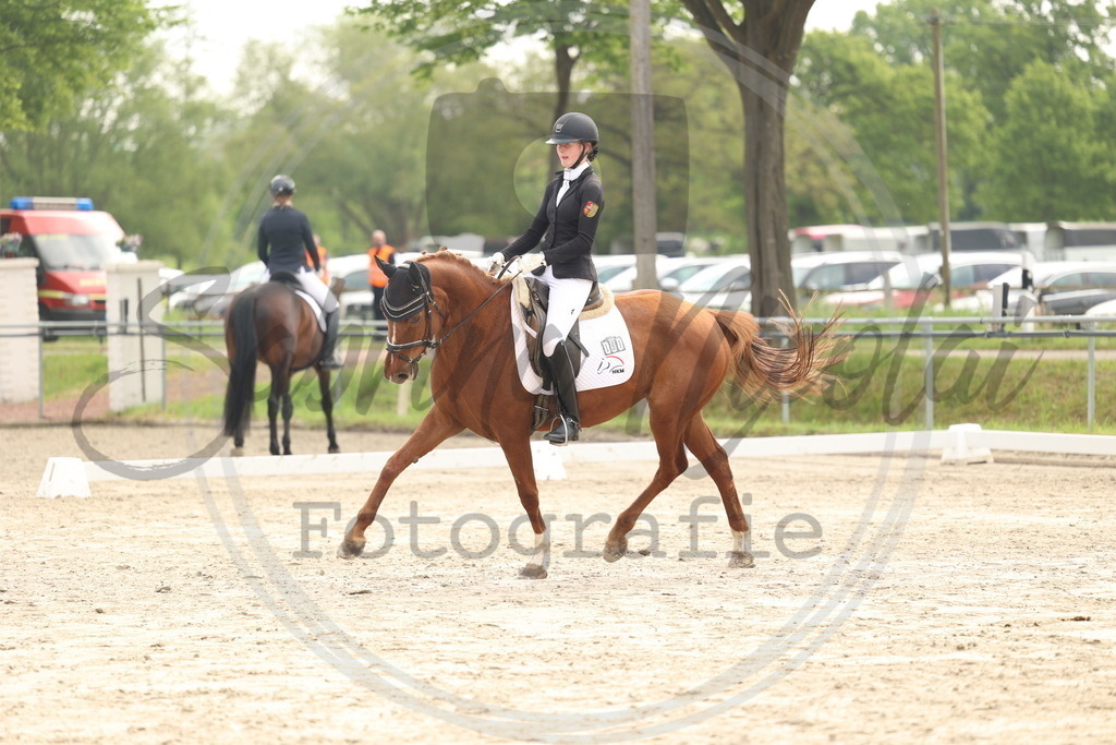 994A6262 | sabrinanicolaifotografie - Realisiert mit Pictrs.com