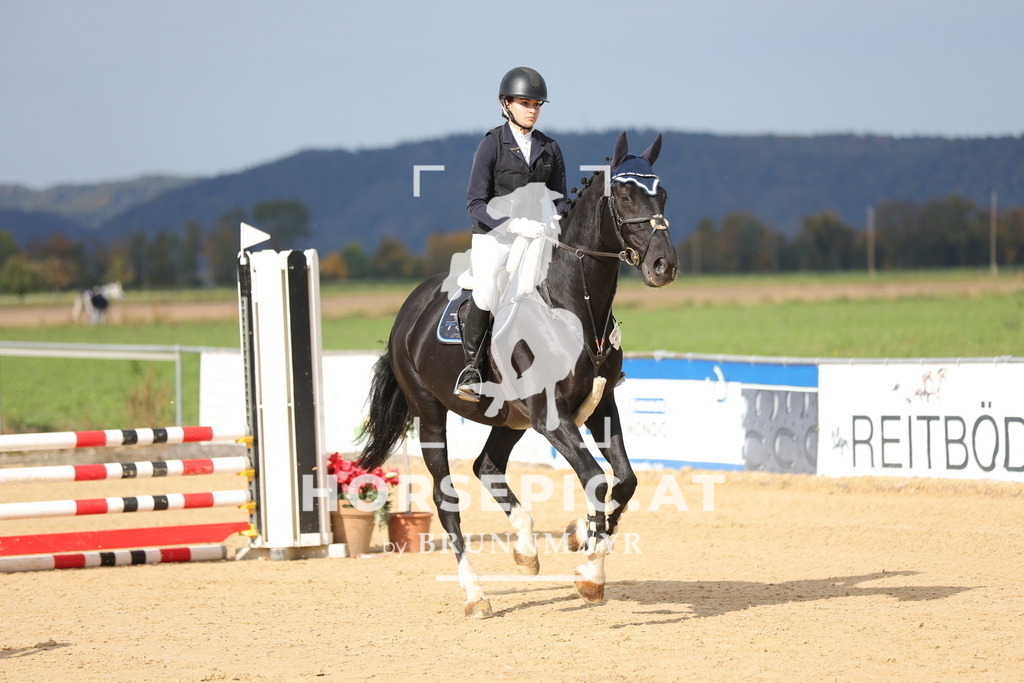 0P6A8566 | Willkommen bei Brunnmayr - Design & Fotografie – Ihrem Spezialisten für Reitturniere und Pferdeveranstaltungen in Oberösterreich, Salzburg und Bayern! Seit über 17 Jahren sind wir leidenschaftlich dabei.