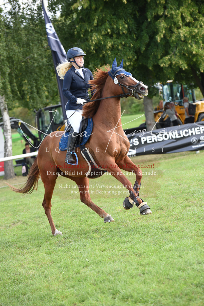 DSC_8843 | Pferde- und Turnierfotografie in Westsachsen. Pferdeportraits, Auftragszeichnungen und intuitive Kunst.