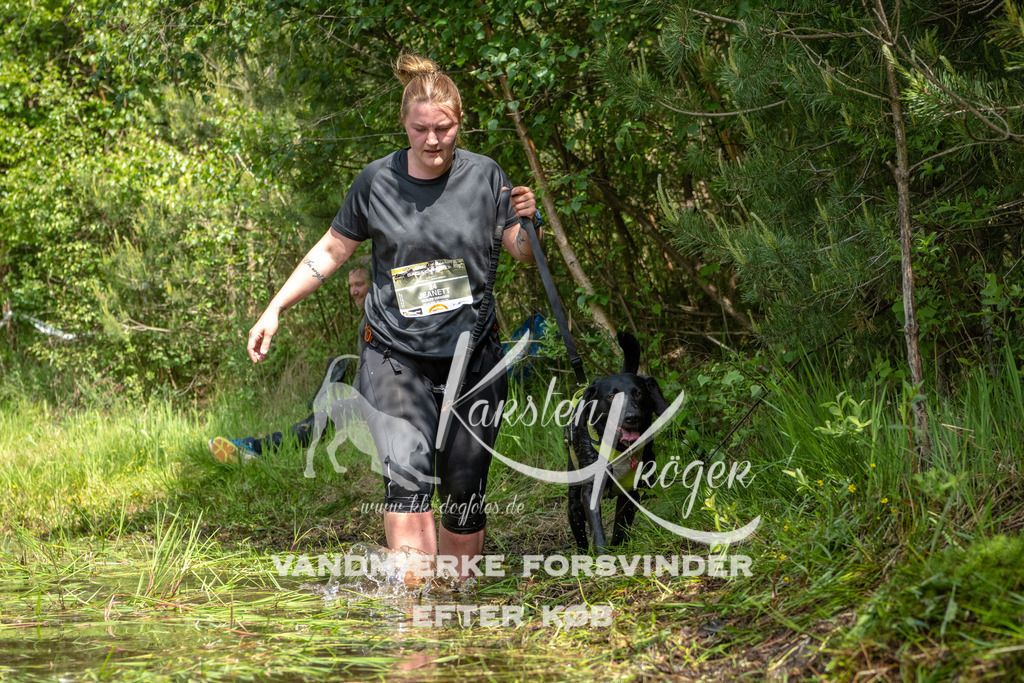 1213DKK992181 | kk-dogfotos