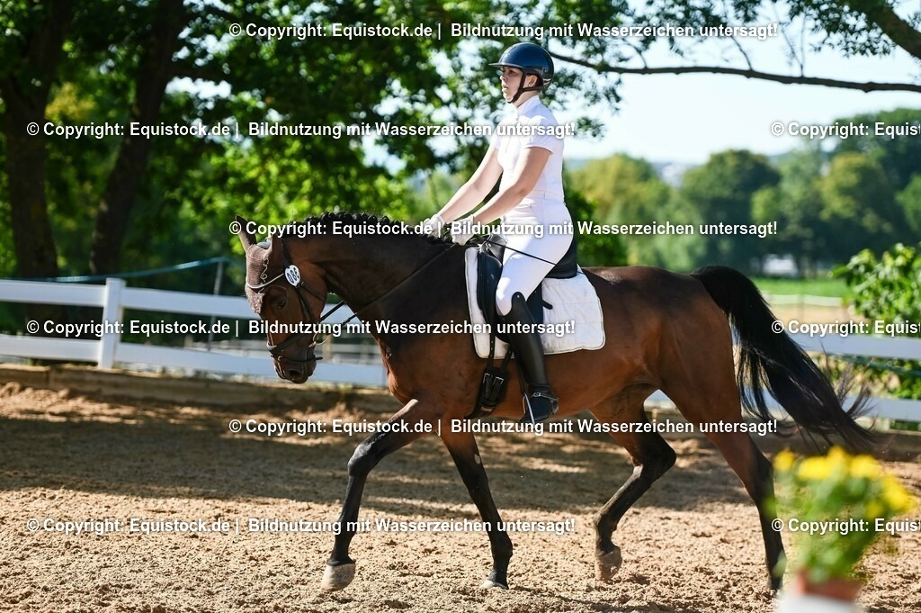 20230715_06_Dressurpferdeprfg. Kl.A_0277 | equistock
