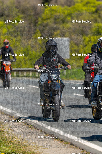 MSFotoServiceXXX355 | MSFotoService - Realisiert mit Pictrs.com