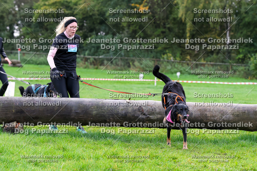 Dog Paparazzi -  SD1026-974 | Dog Paparazzi Jeanette Grottendiek Fotografie & Videografie - Realisiert mit Pictrs.com
