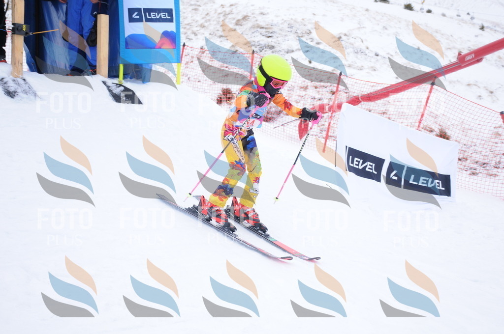 DSC_7944 | holidayphoto