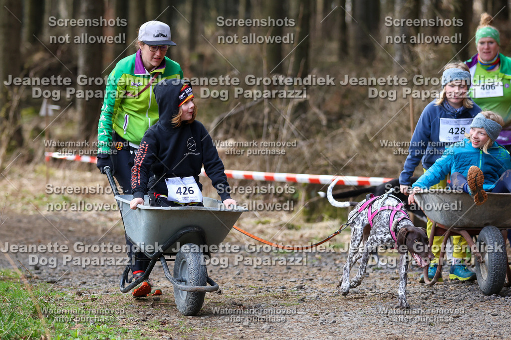 Dog Paparazzi - VCC26-651 | Dog Paparazzi Jeanette Grottendiek Fotografie & Videografie - Realisiert mit Pictrs.com